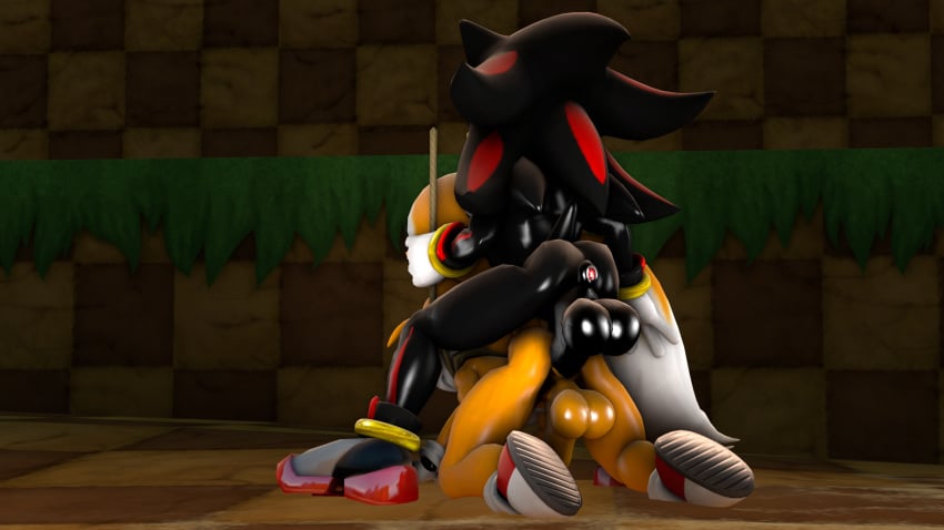 3d anal anus asmartboy ass balls bound gay leash penis shadow_the_hedgehog sonic_(series) tails