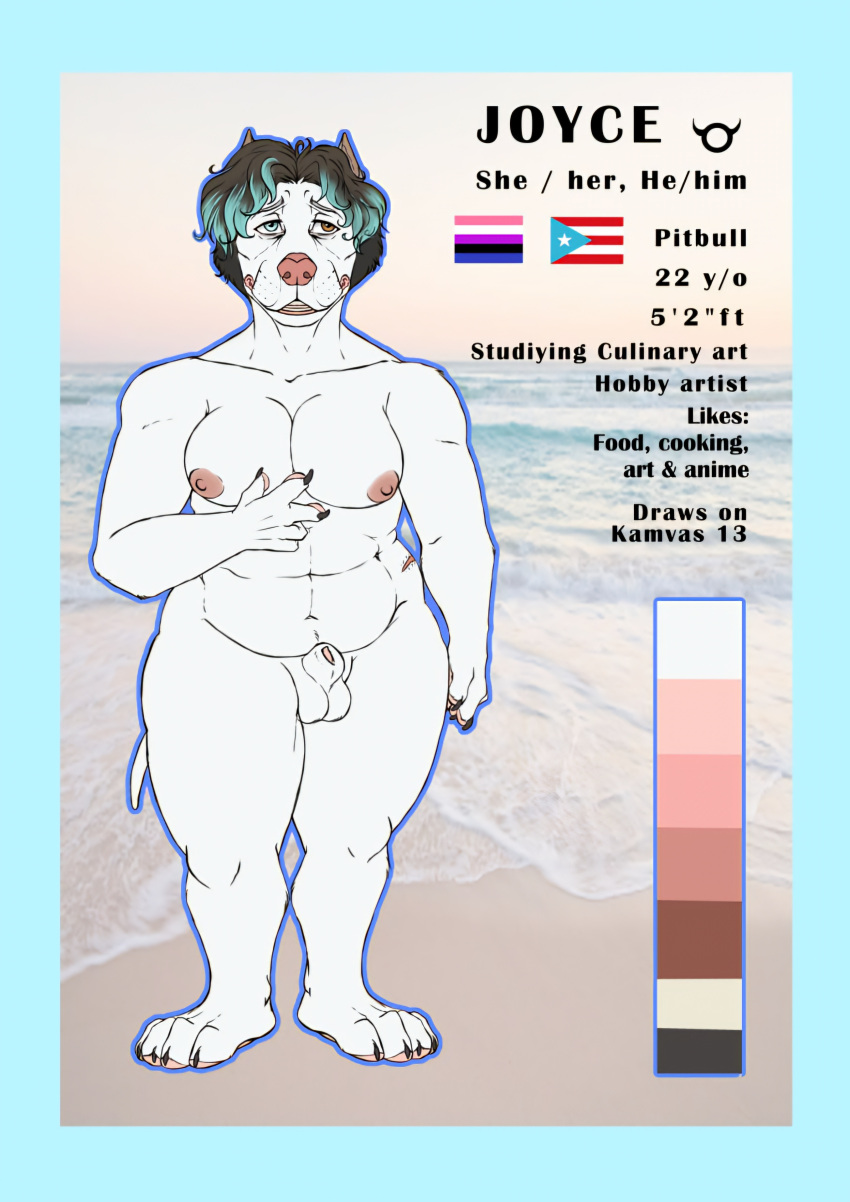 absurd_res anthro balls belly breasts canid canine canis digital_media_(artwork) domestic_dog female futanari genitals herm hi_res intersex joyce_prpittie mammal model_sheet nipples nude nude_anthro nude_female overweight penis pit_bull solo the_dangerous_entity