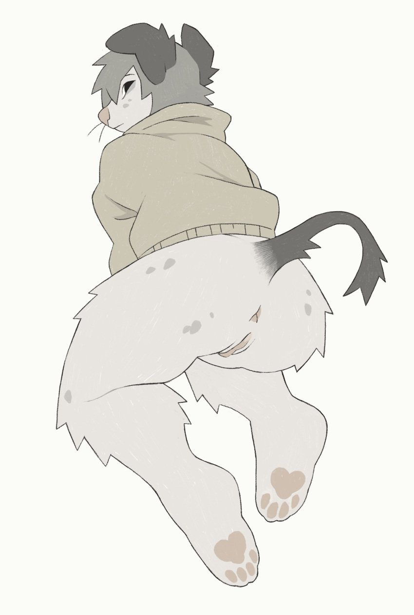 2024 4_toes absurd_res andromorph anthro anus ass black_eyes bottomless butt_tuft button_ears canid canine canis clothed clothing cuntboy digital_drawing_(artwork) digital_media_(artwork) domestic_dog feet floppy_ears full-length_portrait fur genitals grey_ears grey_hair grey_spots grey_tail hair hi_res hindpaw hoodie hoodie_only intersex knee_tuft leg_tuft mammal markings micerunt pawpads paws pink_anus pink_nose pink_pawpads pink_pussy portrait pup_(micerunt) pussy rear_view simple_background solo spots spotted_body spotted_butt spotted_fur tail tail_tuft tan_clothing tan_hoodie tan_topwear toes topwear topwear_only tuft whiskers white_background yakpup