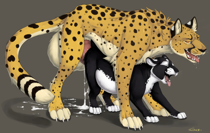 2017 Rule 34 Image