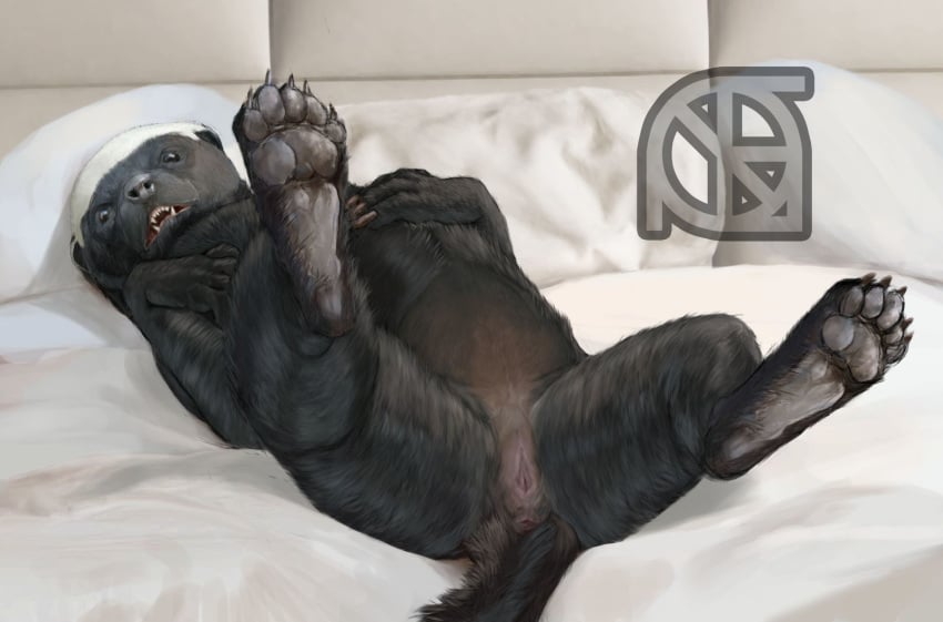 anthro anus badger bed claws cosmiclife female flat_chested honey_badger lying mammal mustelid on_back paws presenting pussy semi-anthro solo spread_legs spreading teeth