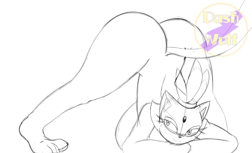 anthro blaze_the_cat dash_wolf feline feline female nude nude_female sketch sonic_(series) sonic_the_hedgehog_(series) video_games wip