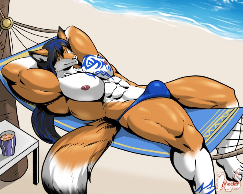 alty anthro beach bulge canid canine clothing fox fur hair long_hair male male_only mammal muscular muscular_male orange_body orange_fur overly_muscular seaside solo speedo swimwear unknown_artist