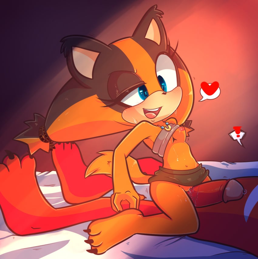 Knuckles (Boom) Rule 34 Image