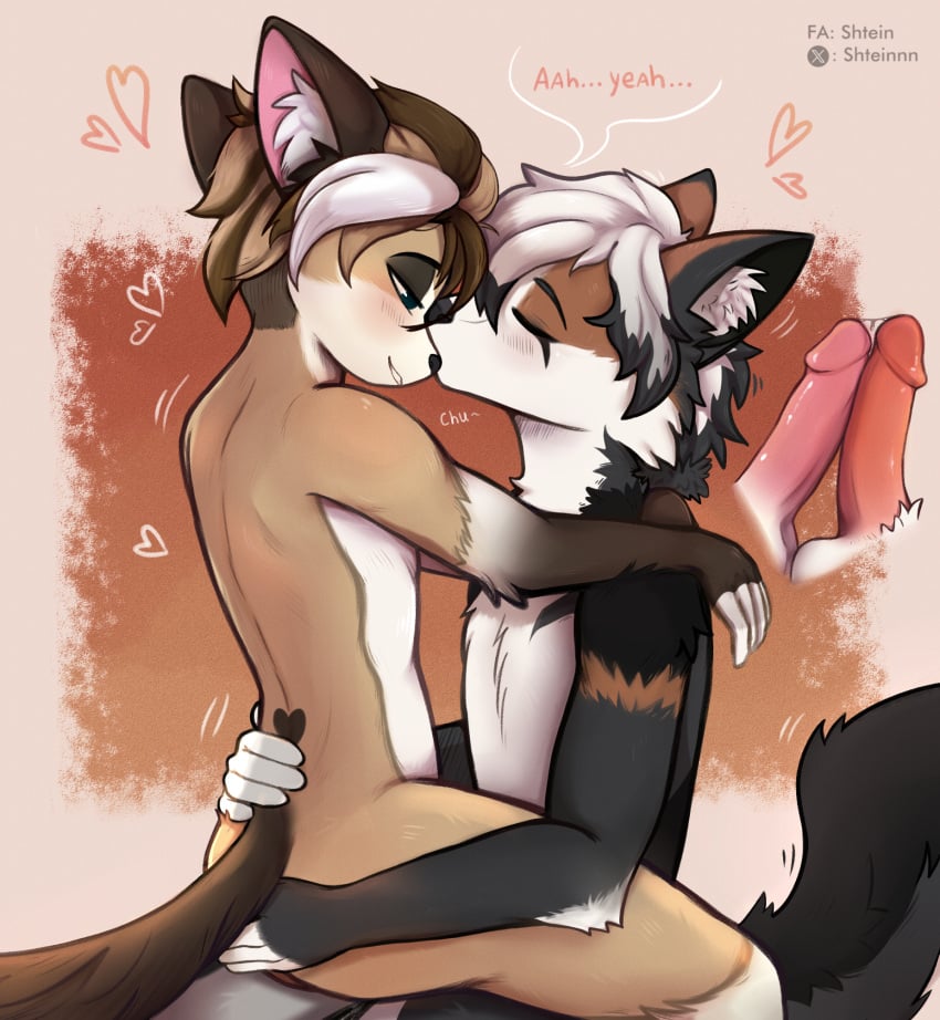 anthro canid canine cat_tail cheek_tuft crossa domestic_cat duo facial_tuft felid feline felis fluffy fluffy_tail fox fox_tail frottage genitals hi_res kiss_on_lips kissing male male/male mammal neck_tuft on_lap penile penis penis_kissing romantic romantic_couple sex shiro_koyomi shtein sitting_on_lap tail tuft wet