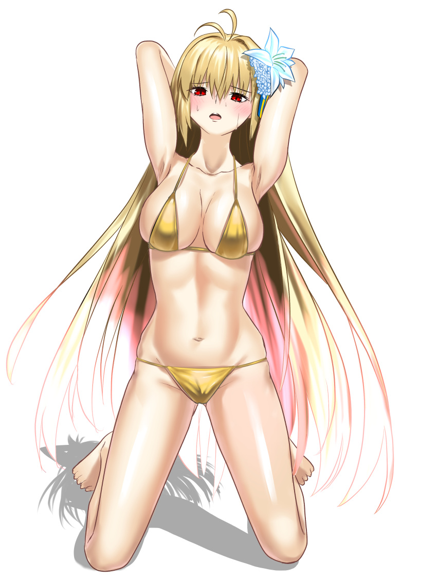 Fate (Series) Rule 34 Image