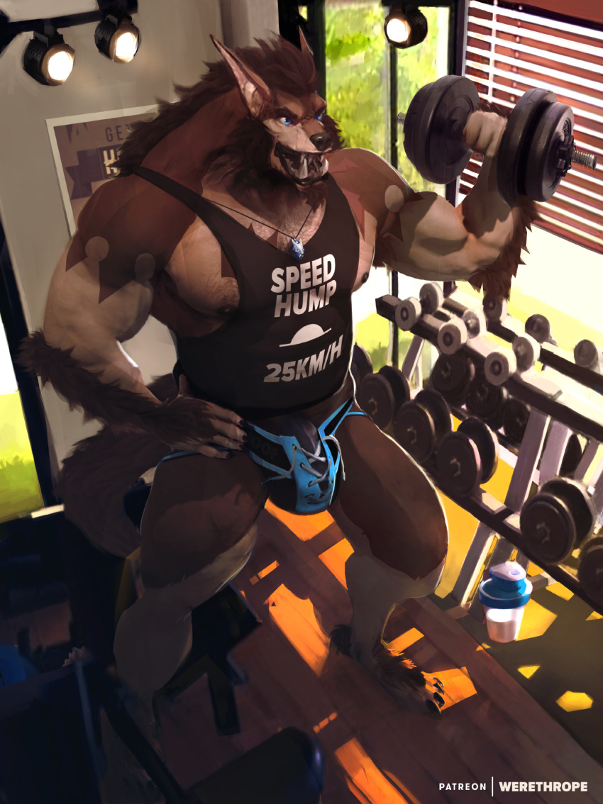 anthro bulge canine clothing exercise facial_hair goatee humanoid_penis male male_only mammal muscular nipples open_mouth penis solo standing underwear weightlifting werethrope workout