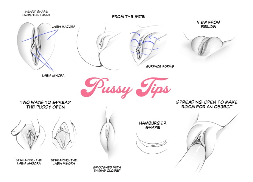 pussy pussy_lips sketch tutorial unknown_artist vagina