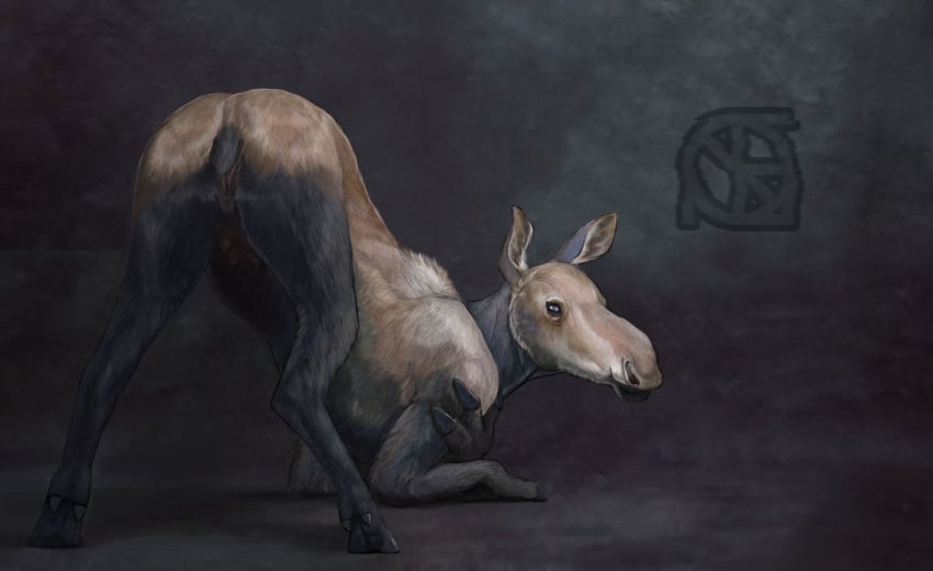 animal anthro ass bent_over cervine cosmiclife female looking_at_viewer looking_back mammal moose pussy semi-anthro simple_background solo spread_legs spreading teats