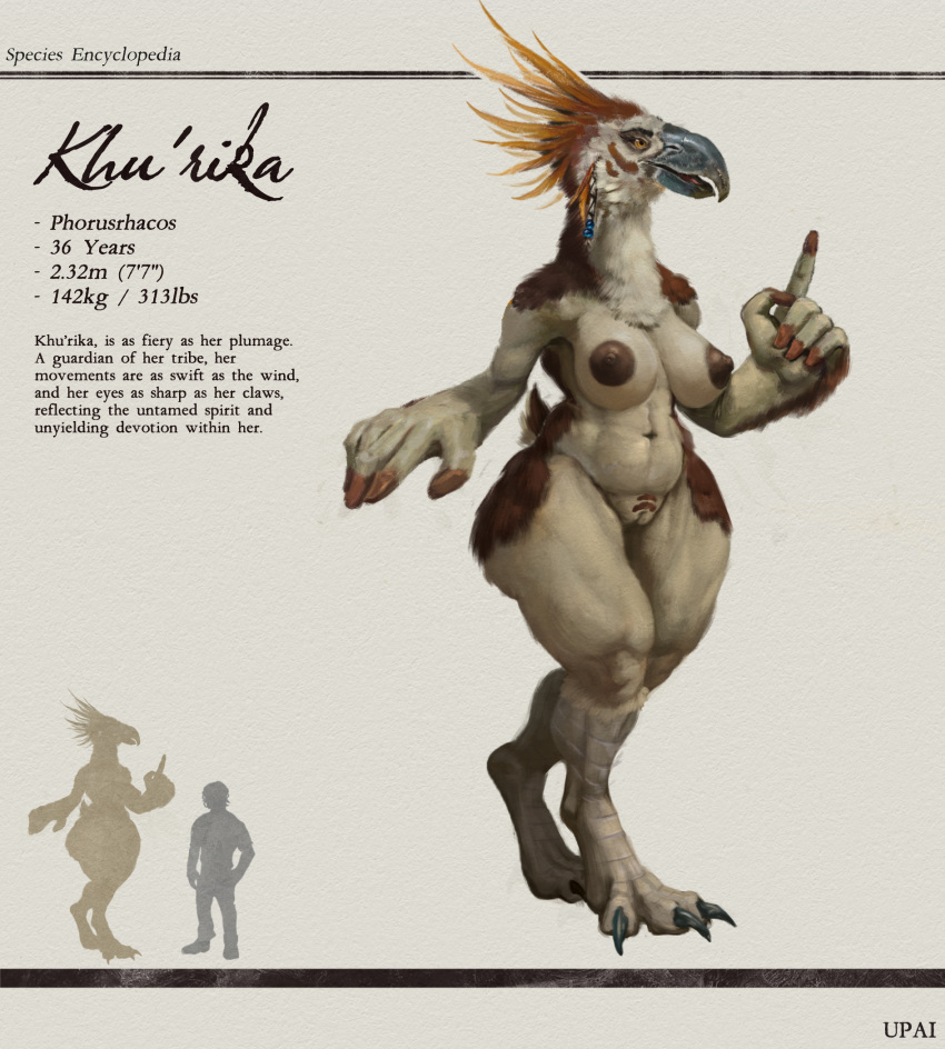 anthro areola beads beak big_areola biped chart claws feathers female female_anthro height_chart hi_res khu'rika_(upai) model_sheet nipples nude phorusrhacos solo stated_age stated_height stated_weight stylized_pubes upai