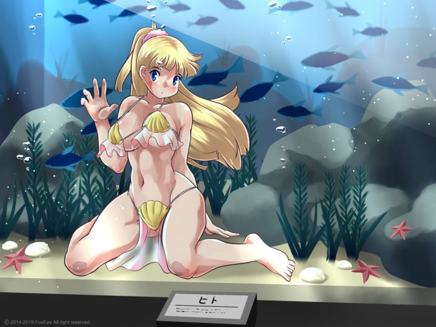 against_glass against_surface aquarium big_breasts bikini blonde_hair blue_eyes breasts breasts_against_glass collarbone female female_only fish foxeye_(artist) foxeye_limited_game_collection game_cg natica_(foxeye) natica_star_splash navel original original_character ponytail seashell_bikini solo solo_female swimsuit underwater water_tank