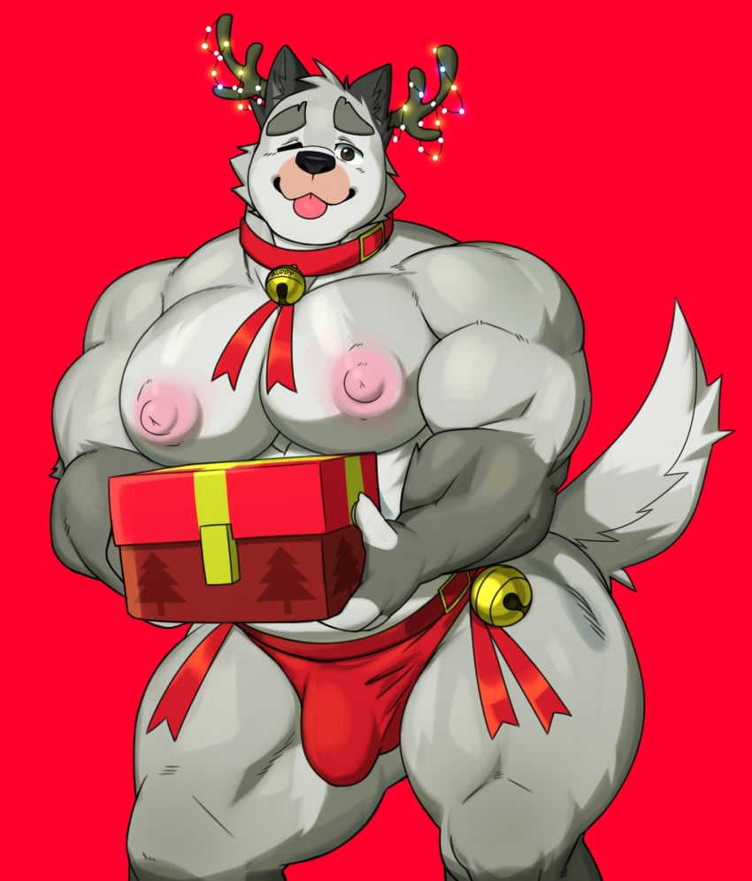 1boy 2024 anthro bara bara_tiddies bara_tits bell bell_collar bulge canid canine christmas_headwear christmas_lights furry gay holding_box holding_gift holding_object human kemono meejikom microsoft minecraft mojang muscular muscular_male nipples pale_wolf_(minecraft) red_background reindeer_antlers reindeer_costume solo solo_focus solo_male tail tongue tongue_out wolf wolf_(minecraft) xbox_game_studios yaoi