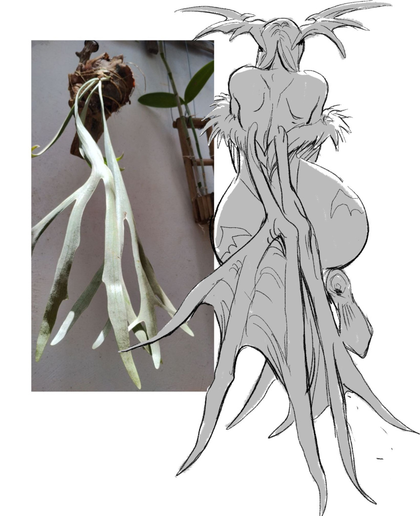 Morrigan Aensland (Darkstalkers) Rule 34 Image
