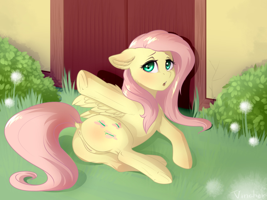 2017 anus ass blush cutie_mark equine feathered_wings feathers female feral fluttershy_(mlp) friendship_is_magic hair hi_res hooves long_hair looking_at_viewer mammal my_little_pony open_mouth outside pegasus pink_hair pussy solo vincher wings