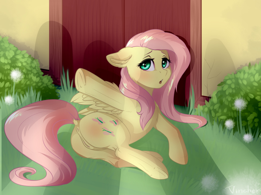 2017 anus ass blush cutie_mark equine feathered_wings feathers female feral fluttershy_(mlp) friendship_is_magic hair hi_res hooves long_hair looking_at_viewer mammal my_little_pony open_mouth outside pegasus pink_hair pussy vincher wings