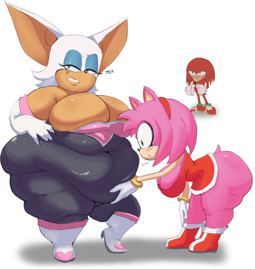 Amy Rose (Sonic (Series)) Rule 34 Image