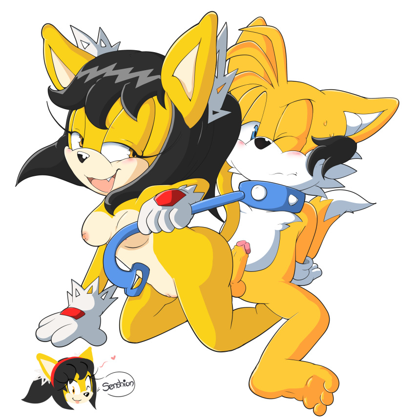 Honey The Cat (Sega) Rule 34 Image