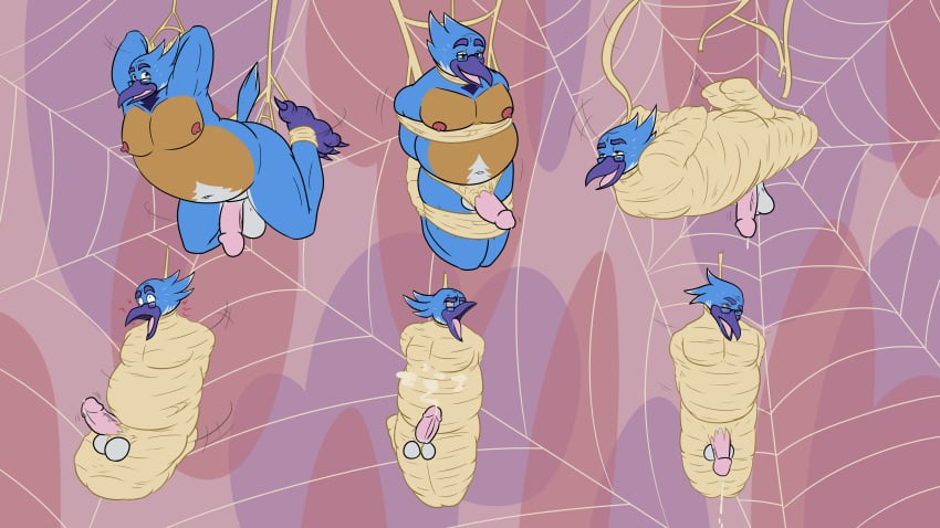Thrush (Bird) Rule 34 Image