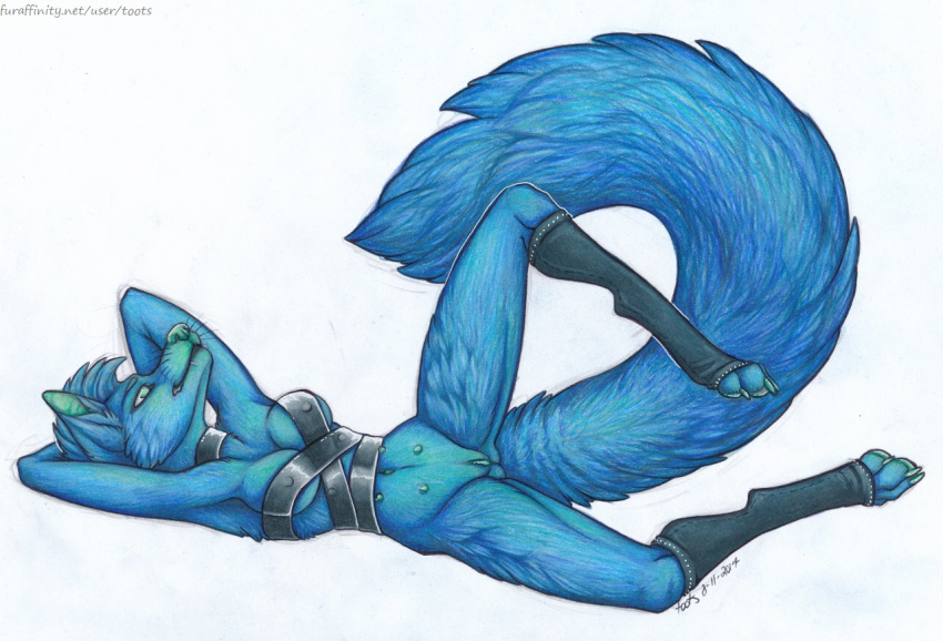 2017 arms_above_head blue_fur blue_hair canine clothing collar female fur furry hair harness leg_warmers legwear lying mammal multi_nipple nipples nude on_side pussy solo toots wolf