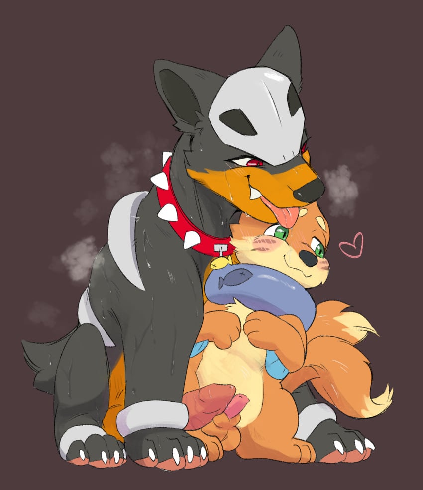 balls blush bodily_fluids buizel collar collar_tag drooling duo feral generation_2_pokemon generation_4_pokemon genitals hi_res houndour junk_(junkhoundour) kockroach male male/male nintendo penis pokemon pokemon_(species) saliva size_difference soggy_(soggybuizel) sweat