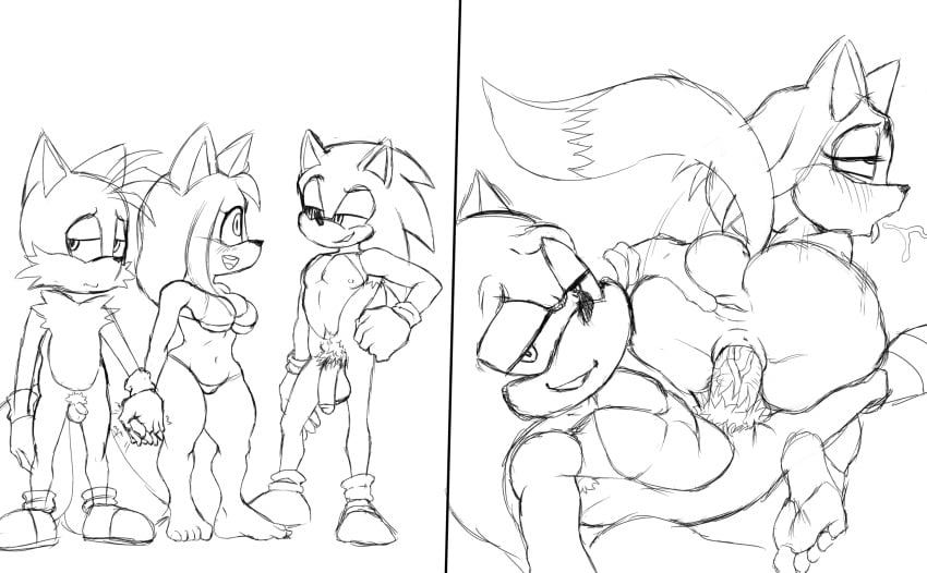 1girl 2boys anthro cheating cuckold furry kokobiel male/female netorare ntr sonic_(series) sonic_the_hedgehog spread_anus spread_ass straight straight_sex tagme tails vaginal_penetration zooey_the_fox