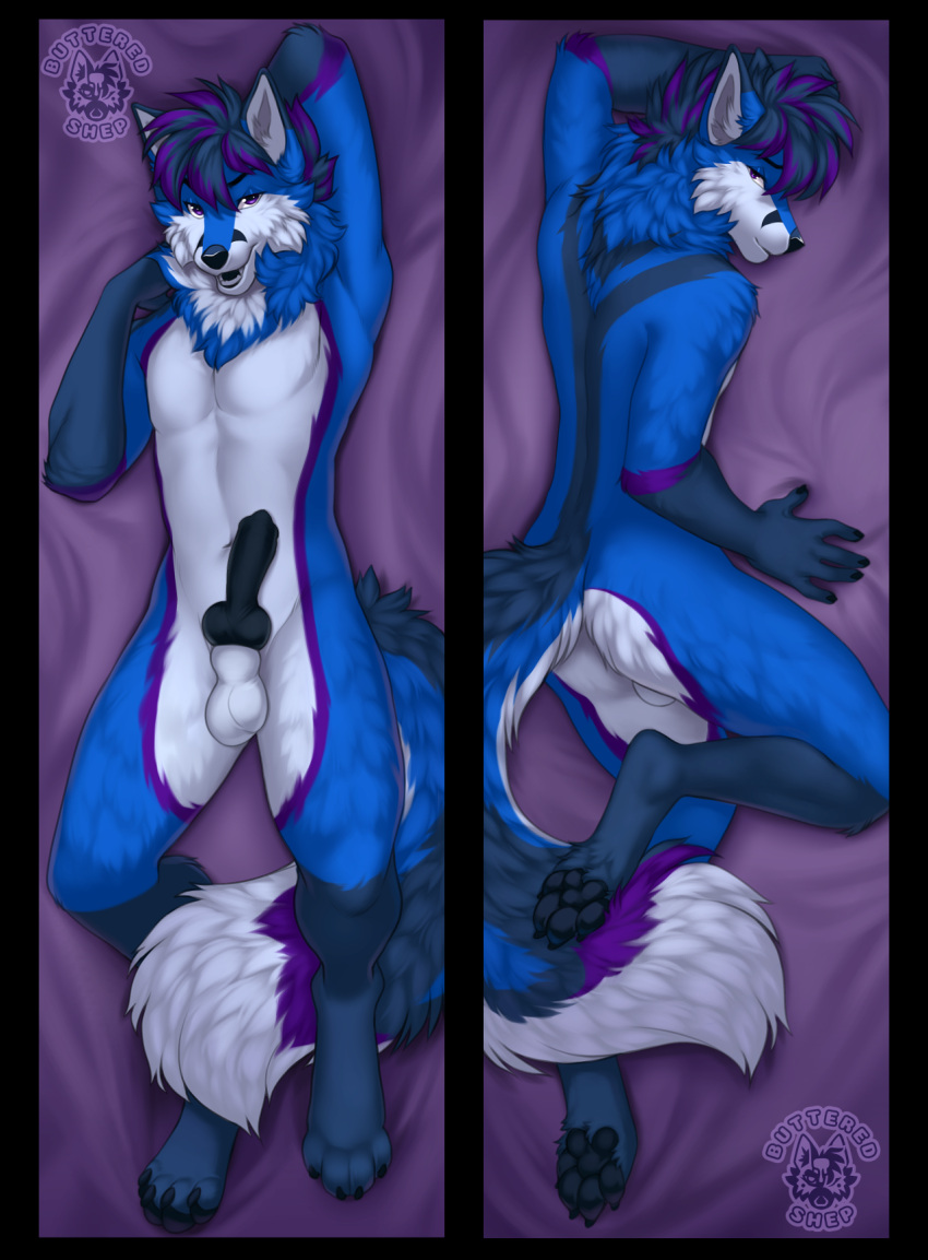 animal_genitalia animal_penis anthro balls canid canine canine_genitalia canine_penis dakimakura dakimakura_design erection fluffy fluffy_tail fox genitals hi_res knot knotted_penis lawkie looking_at_viewer male male_only mammal open_mouth open_smile pawpads penis sheath smile solo tail