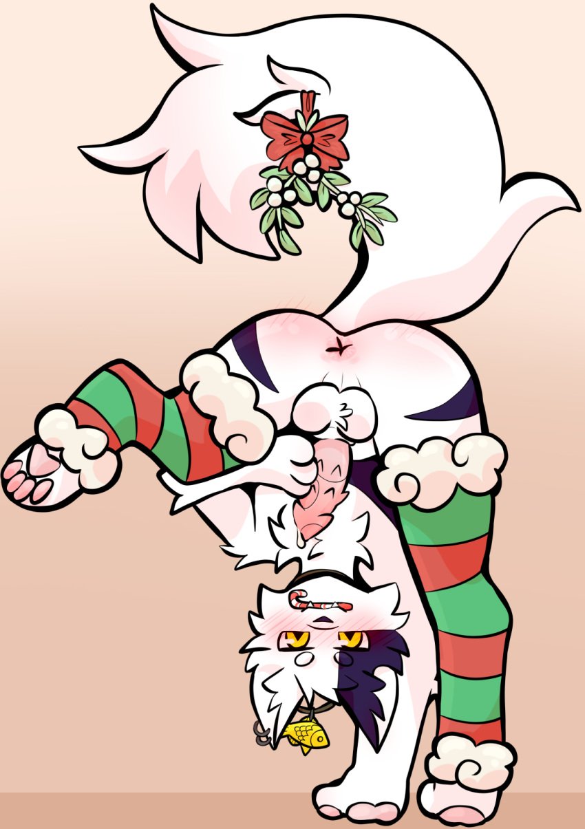 anthro anus balls blush blush_lines body_blush butt_blush candy candy_cane candy_cane_in_mouth chest_tuft christmas clothing dessert domestic_cat ear_piercing ear_ring fayesins felid feline felis fish fluffy fluffy_tail food fur fuzzy_balls genitals hi_res holidays jewelry kaiori_(character) leggings legwear male male_only mammal marine markings mistletoe mistletoe_on_tail necklace pawpads paws pendant penile_spines penis piercing plant purple_body purple_fur purple_markings ring_piercing solo tail thigh_highs tuft upside-down yellow_eyes