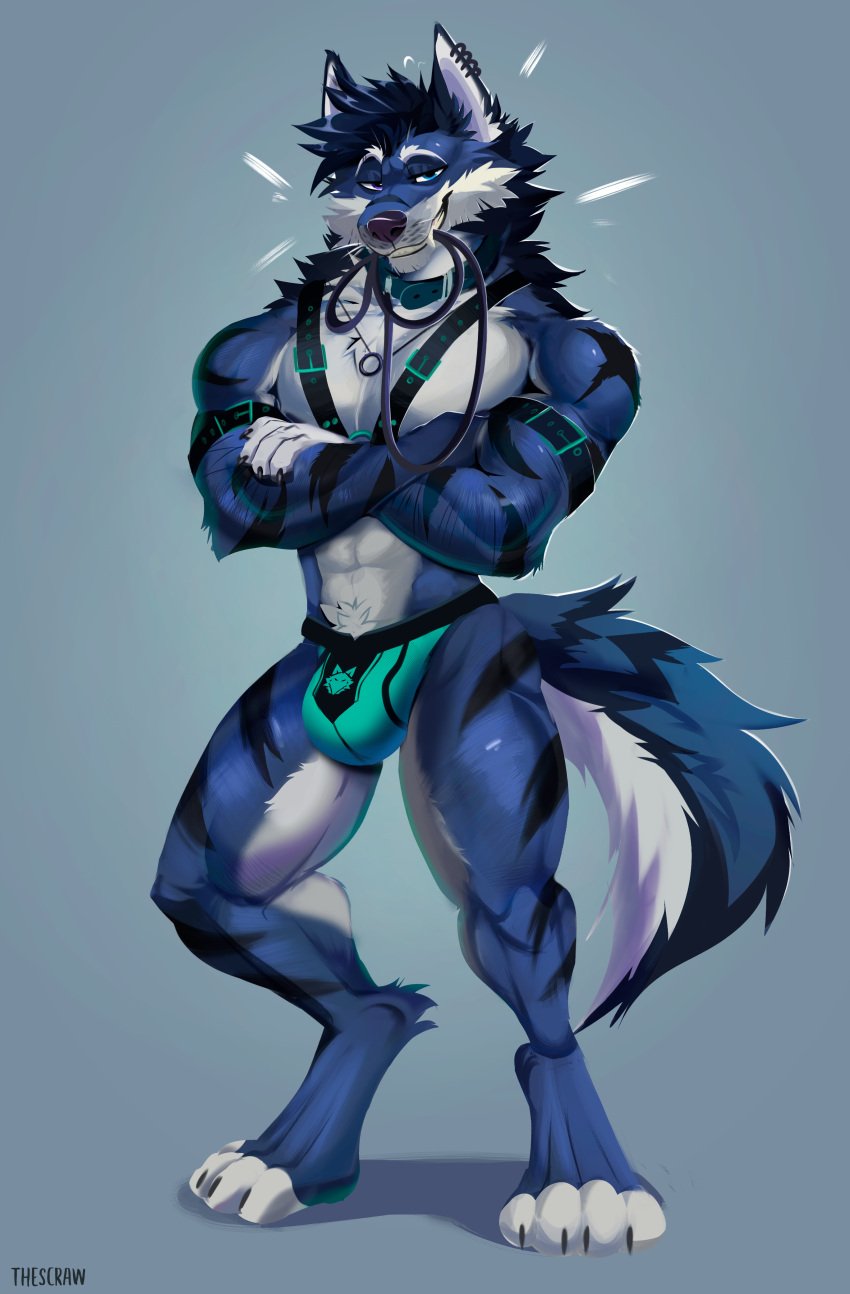 2024 abs absurd_res anthro artist_name athletic athletic_anthro athletic_male bdsm_gear biting_leash black_body black_claws black_fur black_hair black_nose black_tail blue_body blue_eyes blue_fur blue_hair blue_tail bulge canid canine canis claws closed_smile clothing collar crossed_arms digital_media_(artwork) ear_piercing ear_ring facial_markings fangs feet fingers fur grey_background hair harness head_markings heterochromia hi_res jewelry jockstrap leash leashed_collar looking_at_viewer male mammal markings mouth_closed muscular muscular_anthro muscular_male necklace paws piercing pubes purple_eyes ring_piercing signature simple_background smile solo standing straps striped_body striped_fur stripes tail tail_markings teeth thescraw underwear white_body white_fur white_paws white_tail wolf