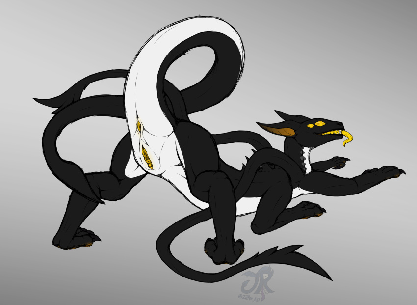 Absurd Res Rule 34 Image
