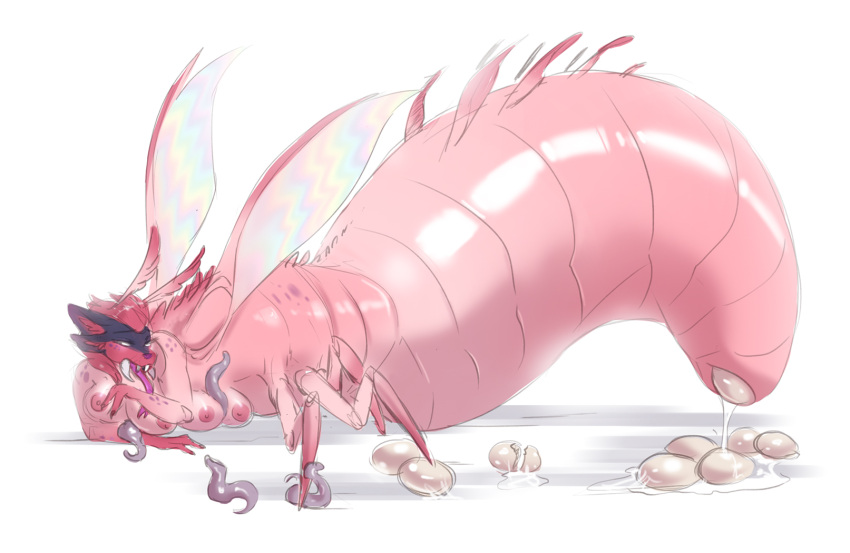 Antennae (Anatomy) Rule 34 Image