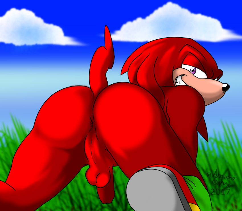 all_fours ancient-onyx anus ass backsack balls clouds foreskin grass inviting knuckles_the_echidna looking_back male_only outside penis presenting presenting_hindquarters purple_eyes raised_tail red_fur sharp_teeth solo sonic_(series) taint uncut