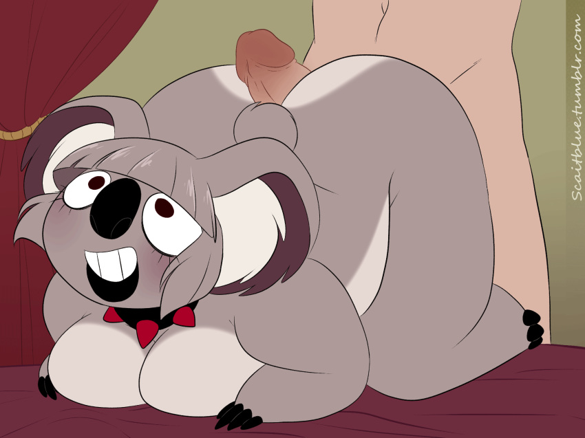 4:3 animated anthro ass bed big_breasts big_butt breasts buttjob duo erection female hi_res huge_butt humanoid_penis koala male mammal marsupial nude penis scaitblue shortstack slightly_chubby straight