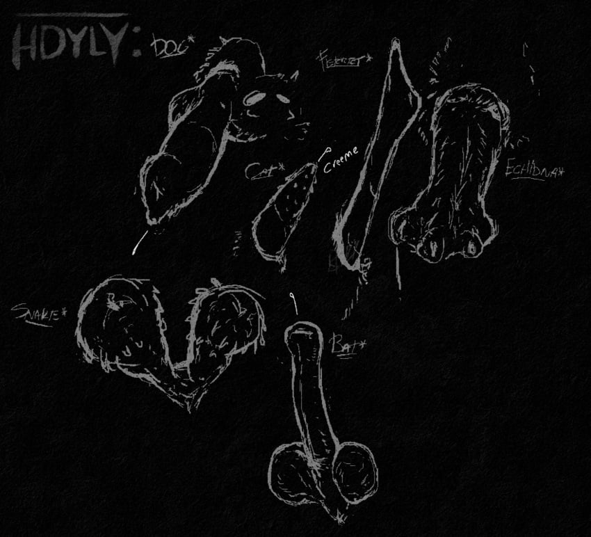 2_penises absurd_res animal_genitalia animal_penis artist_logo artist_name balls bodily_fluids canine_genitalia chiropteran_penis digital_media_(artwork) diphallia diphallism echidna_penis english_text feline_genitalia feline_penis genital_fluids genital_slit genitals hdyly hemipenes hi_res knot knotted_penis logo multi_genitalia multi_penis multiple_images mustelid_penis penile_spines penis penis_everywhere sheath signature text