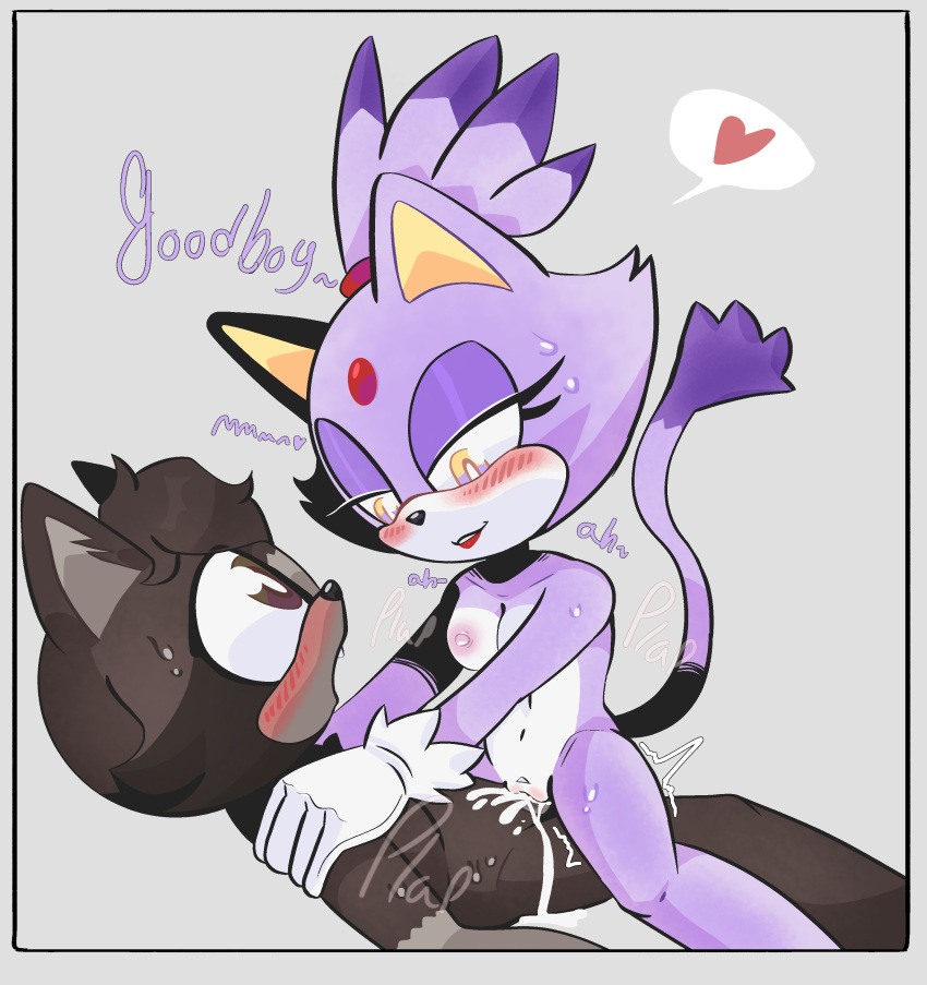 Blaze The Cat (Sega) Rule 34 Image