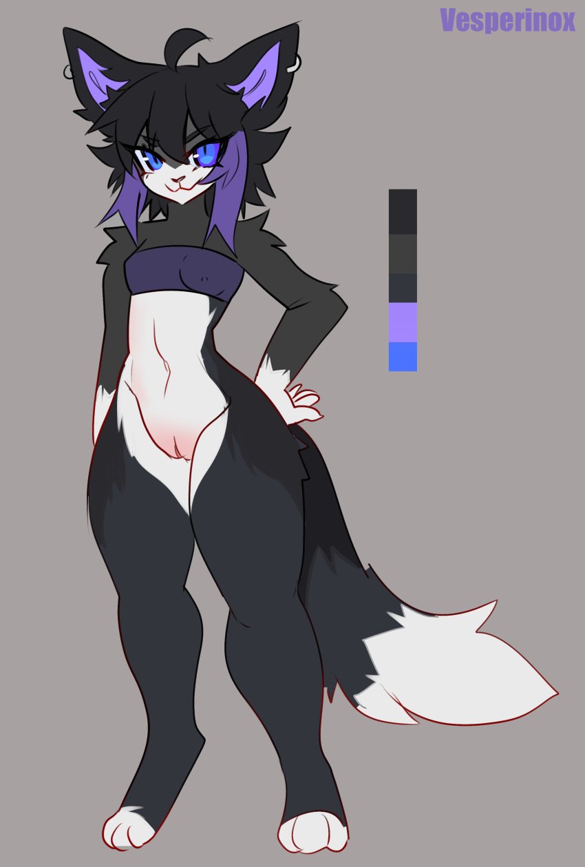 absurd_res anthro black_body black_fur blue_eyes chest_wraps domestic_cat felid feline felis female fur hi_res highlights_(coloring) mammal model_sheet nicole_(skittersqueak) piercing purple_highlights solo vesperinox white_body white_fur wraps