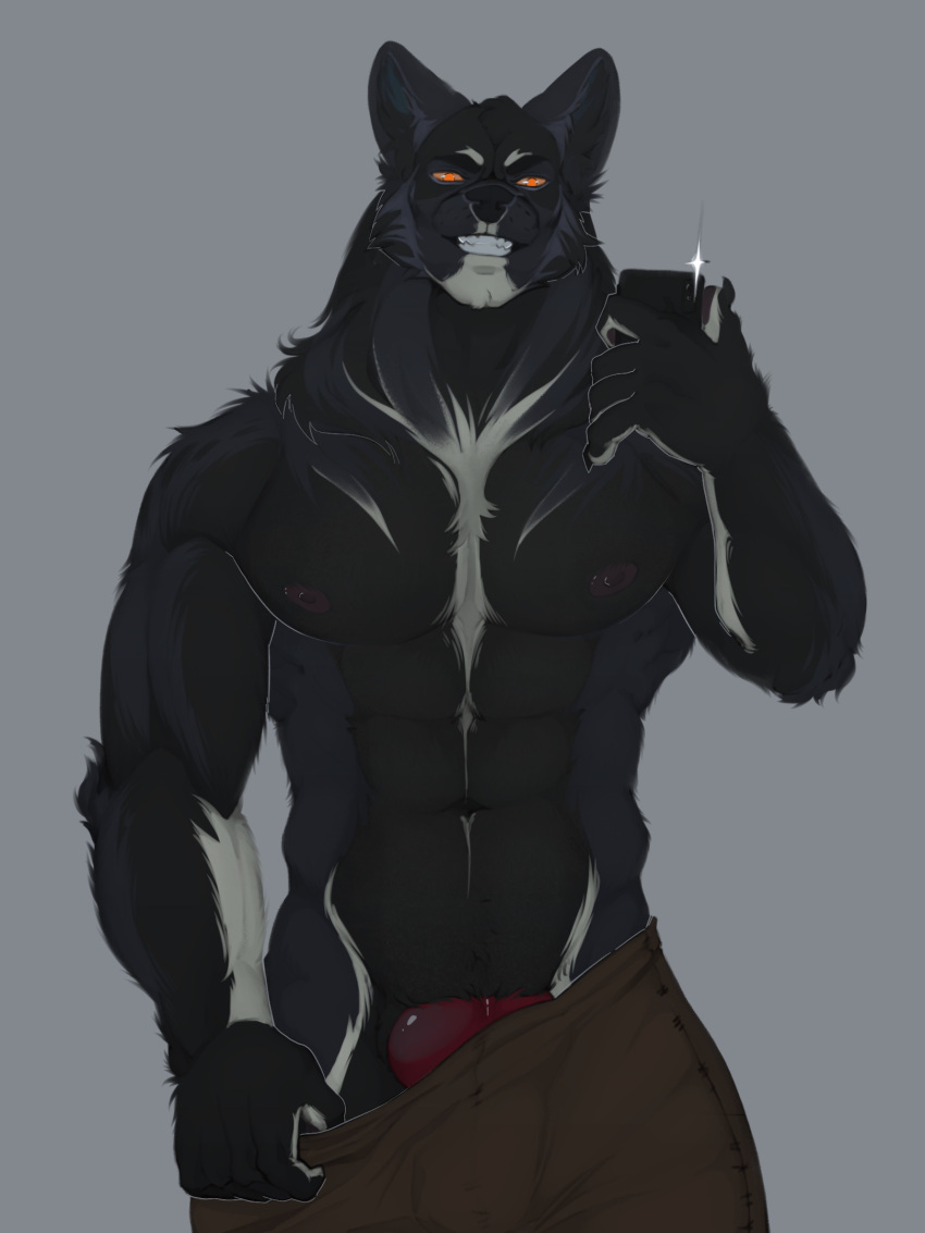 3:4 5_fingers abs anthro areola black_areola black_body black_claws black_fur black_nipples black_nose bottomwear bottomwear_down canid canine cheek_tuft claws clothed clothing electronics facial_tuft fingers front_view fur genitals grey_body grey_fur hi_res holding_object holding_phone knot knotted_penis looking_at_viewer maison_6 male mammal muscular navel nipples orange_eyes pants pants_down partially_clothed pecs penis phone simple_background solo teeth topless topless_male tuft