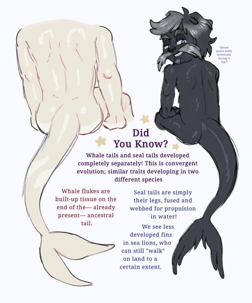 Digital Drawing (Artwork) Rule 34 Image