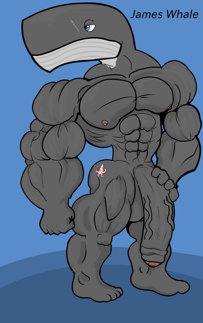 absurd_res anthro balls big_balls big_biceps big_pecs big_penis cetacean genitals hi_res huge_cock james_whale(kogo) kogo male mammal marine muscular muscular_male pecs penis solo thick_thighs whale