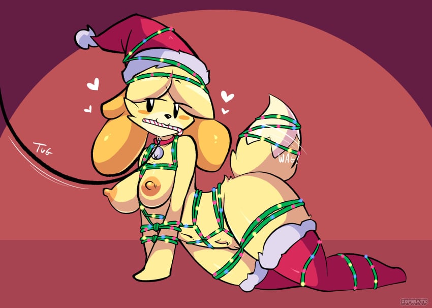 animal_crossing anthro areola blonde_hair bondage bondage bound breasts candy candy_cane canid canine canis christmas christmas_clothing christmas_headwear clothing collar dessert domestic_dog female food fur genitals hair hat headgear headwear heart_symbol hi_res holidays isabelle_(animal_crossing) leash leashed_collar legwear mammal nintendo nipples pubes pussy restraints rope rope_bondage rope_harness santa_hat shih_tzu solo thigh_highs toy_dog yellow_body yellow_fur zombiate