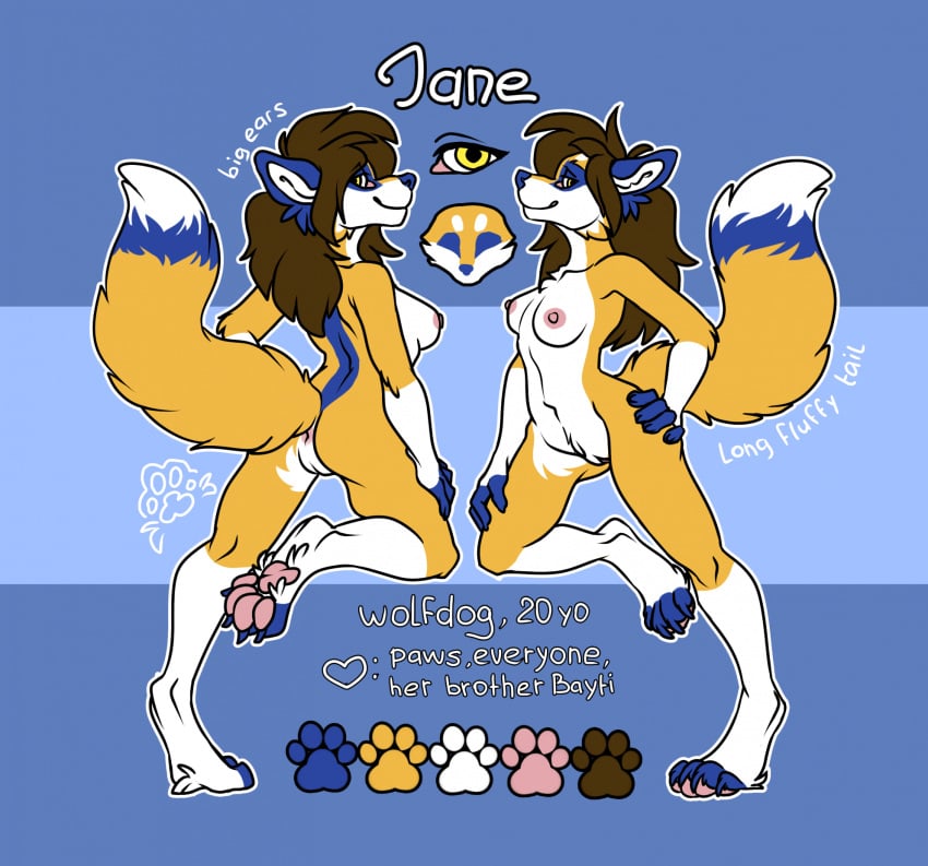 2024 4_toes anthro anus areola biped blue_background blue_body blue_fur blue_nose brown_hair canid canine canis character_name color_swatch digital_drawing_(artwork) digital_media_(artwork) english_text feet female fingerless_(marking) fingerless_gloves_(marking) flat_colors fur genitals gloves_(marking) hair hand_on_hip heart_symbol hi_res hybrid jane_(janewolf) leg_markings long_hair mammal markings model_sheet multicolored_body multicolored_fur multicolored_tail nipples outline pawpads pink_areola pink_nipples pink_pawpads pussy simple_background socks_(marking) solo tail text toeless_(marking) toeless_socks_(marking) toes white_body white_fur wolfdog yellow_body yellow_eyes yellow_fur