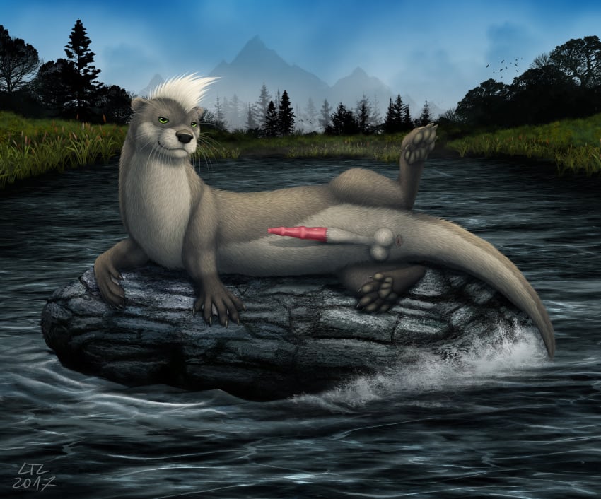 2017 anatomically_correct anatomically_correct_penis animal_genitalia animal_penis anus ass balls feral fur green_eyes grey_fur looking_at_viewer ltl male mammal mustelid mustelid_penis otter outside penis presenting presenting_hindquarters river river_otter rock seductive sheath solo twitch_otyolf water webbed_feet