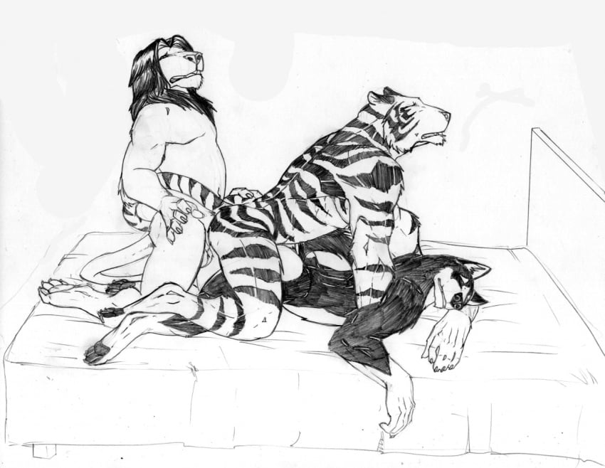 2016 abs anal anal_sex anal_train ang3l_(artist) anthro anthro_on_anthro ass balls bed biceps biped black_and_white caminos_desconocidos canine claws feline from_behind_position fur group group_sex guzmaro hanzo_(ang3l) humanoid_penis husky leonel lion male mammal mane monochrome muscular muscular_male open_mouth pecs penetration penis raised_tail sex simple_background sofa stripes tails_(disambiguation) threesome tiger train train_position vehicle yaoi