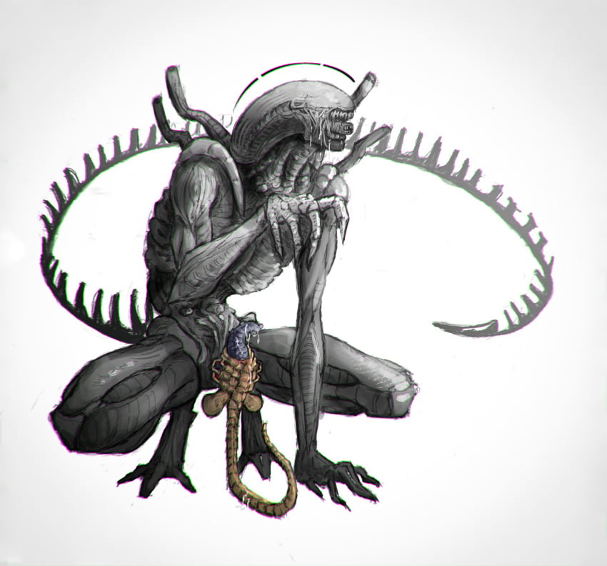 Facehugger (Alien (Franchise)) Rule 34 Image
