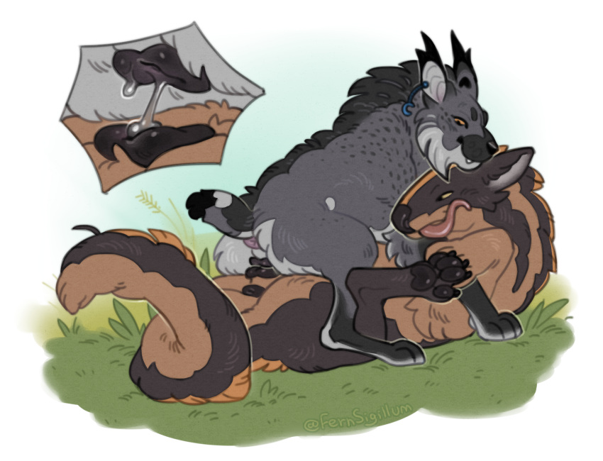 Korwin Rule 34 Image