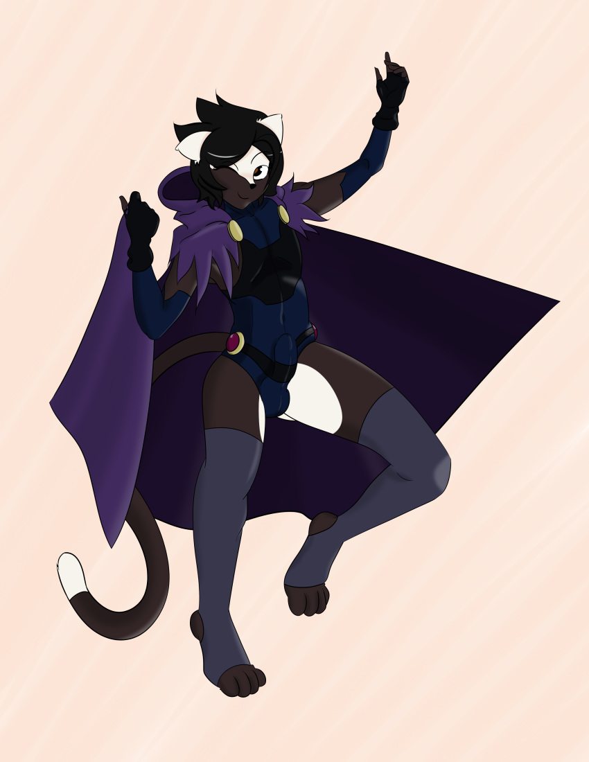 anthro balls brown_eyes brushcat bulge cape clothed clothing cosplay crossdressing crossplay dc dc_comics erection feline girly jenny_(brushcat) legwear male male_only mammal penis penis_outline raven_(cosplay) teen_titans