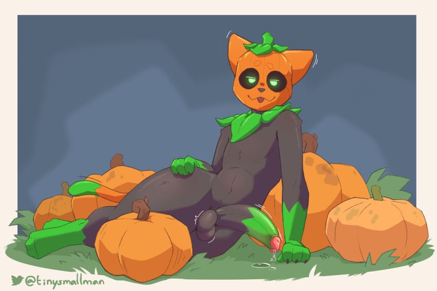 anthro balls bedroom_eyes big_penis black_body blep bodily_fluids dipstick_tail domestic_cat dripping elemental_creature erection felid feline felis flora_fauna food food_creature fruit genital_fluids genitals glowing glowing_eyes green_eyes halloween hi_res humanoid_genitalia humanoid_penis living_fruit male mammal markings narrowed_eyes penis plant precum precum_drip pumkat pumpkin_hat pumpkin_patch seductive solo tail tail_markings tinysmallman tongue tongue_out wide_hips