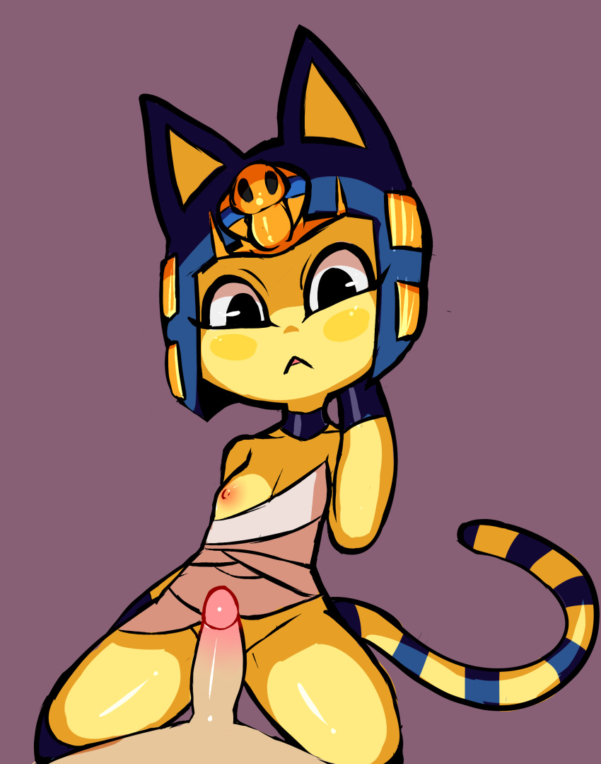 animal_crossing ankha anthro breasts duo erection feline female furry highres human human_on_anthro interspecies male mammal nintendo notepaddy penis small_breasts solo_focus straight