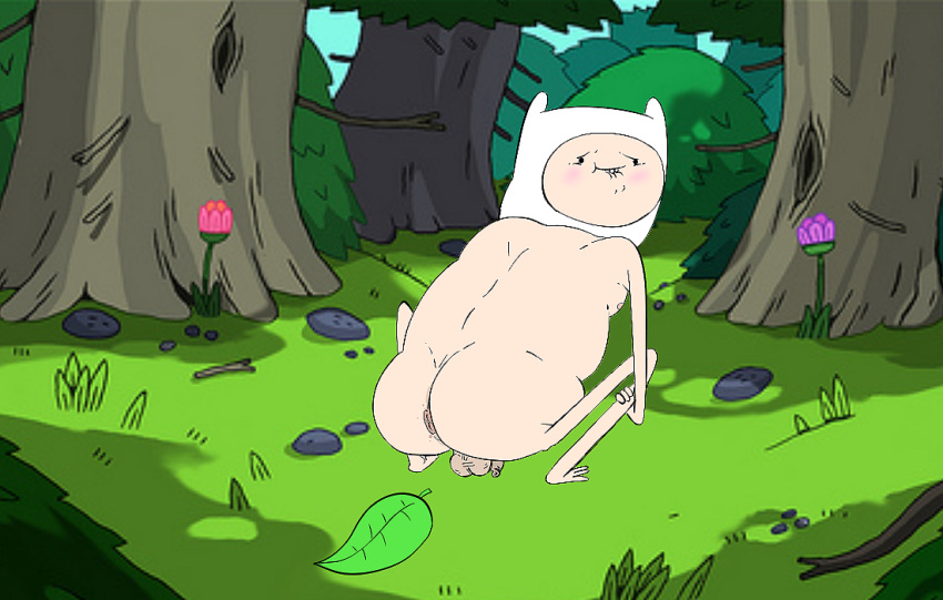 adventure_time background big_ass big_balls big_head big_penis cartoon_network crouching crouching_male darkened_genitalia exhibitionism exposed_ass finn_the_human foreskin human male male_only naked nude posing solo_focus solo_male toony uncut young