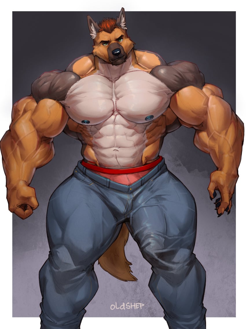 2024 5_fingers absurd_res alpha_male anthro big_bulge big_muscles black_body black_claws black_fur black_nipples black_nose black_pawpads bottomwear brown_body brown_fur bulge canid canine canis claws clothed clothing countershading daddy denim denim_bottomwear denim_clothing detailed_bulge domestic_dog fingers fur genital_outline german_shepherd green_eyes hair herding_dog hi_res huge_bulge huge_muscles jason_steiner jeans looking_at_viewer male male_only mammal manly multicolored_body multicolored_fur muscular muscular_male nipples oldshep pants pastoral_dog pawpads penis_outline red_hair simple_background solo standing tight_bottomwear tight_clothing tight_pants topless underwear vein veiny_muscles white_body white_fur