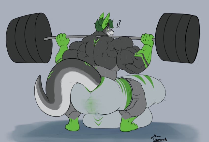 anthro anus ass back_muscles balls big_balls big_bulge big_butt big_penis bulge clothing erection exercise fur genitals green_body grey_body grey_fur hi_res huge_balls huge_bulge huge_butt huge_cock hyper hyper_balls hyper_genitalia hyper_penis kangaroo macropod male mammal marsupial muscular muscular_anthro muscular_arms muscular_male penis puffy_anus squating through_shorts translucent translucent_clothing unaware uniparasite weightlifting workout